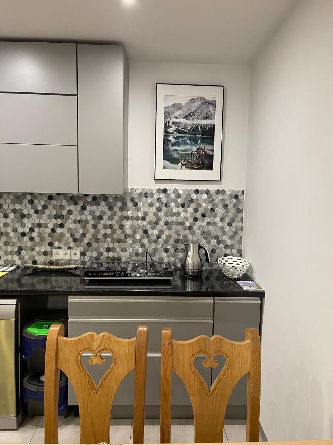 Apartamenty Ermitage Zakopane Buitenkant foto